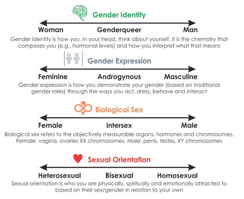 Homosexualité Quand les bases biologiques de l’homosexualité viennent en renfort de ...